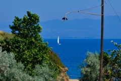 DSC7071